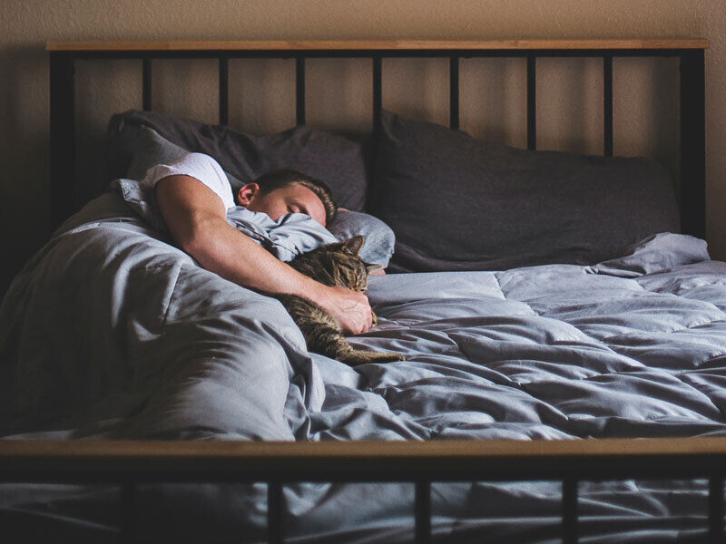 Man lying with a cat in a big bed